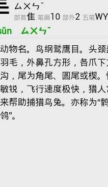 鹰隼怎么读（鹰隼怎么读拼音）