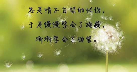 配自己照片的说说（配自己照片的说说简短）