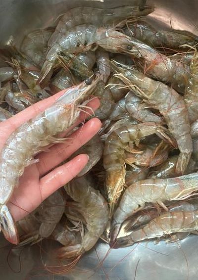 清蒸大虾要蒸多久（清蒸大虾要蒸多久才好吃）