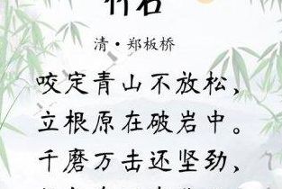 赞美竹子最出名的句子（赞美竹子最出名的句子有哪些）