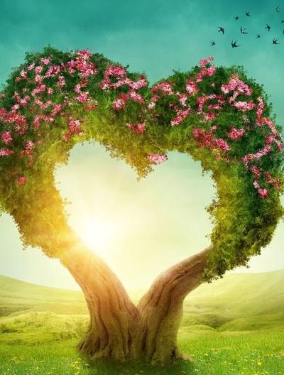 象征爱情的树（象征爱情的树枝）