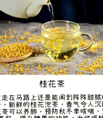 桂花茶怎么制作（桂花茶怎么制作视频）