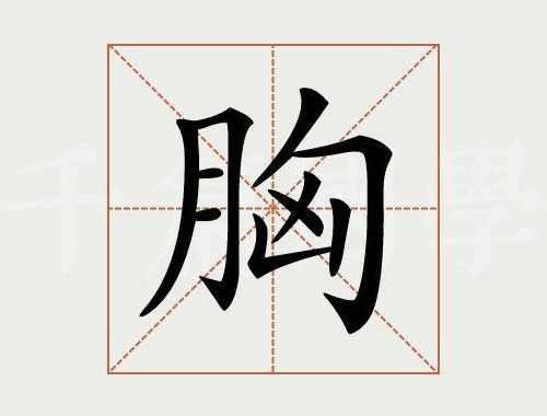 胸脯的拼音（胸脯的拼音组词）