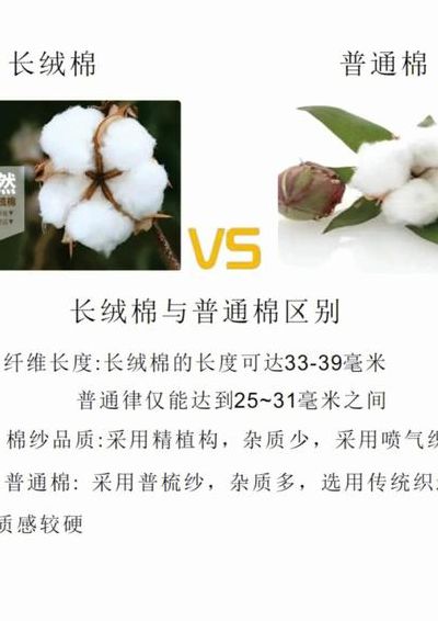 彩棉和纯棉的区别（全棉与纯棉有啥区别,哪个更好）