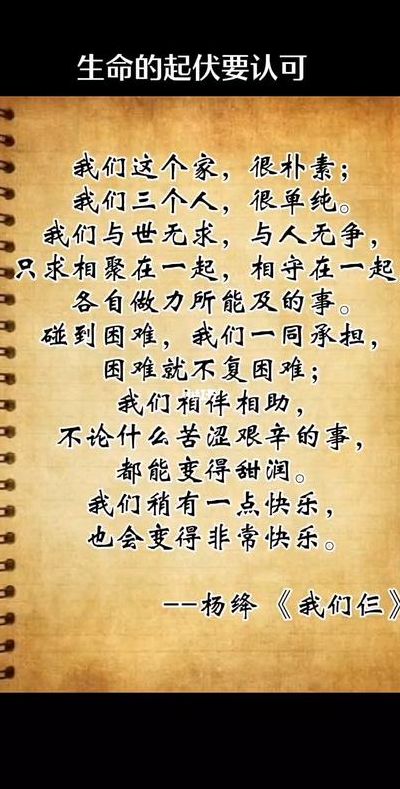我们仨经典语录（我们仨经典语录摘抄300字）