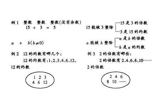 正约数是什么（正约数是什么东西）