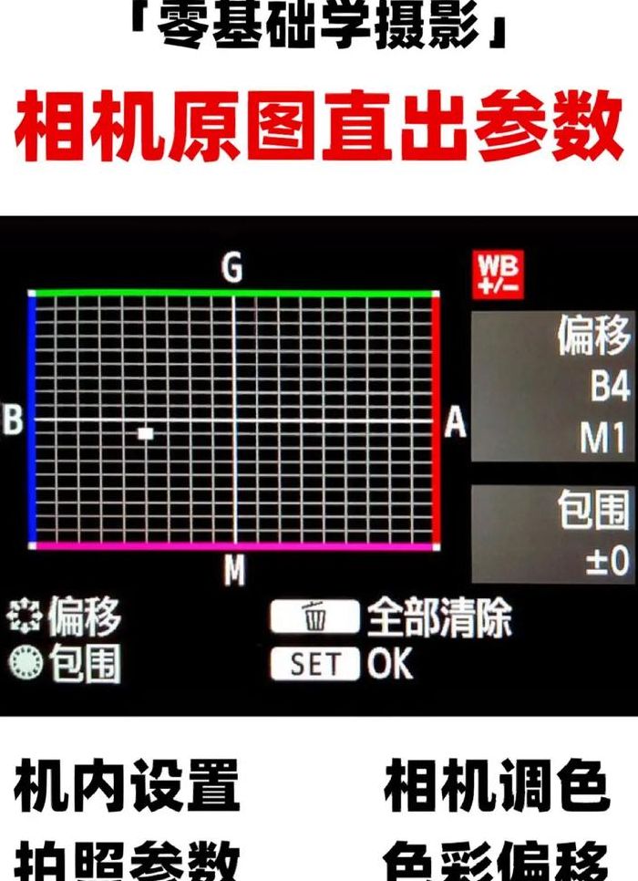 白平衡设置技巧（白平衡模式怎么调整）