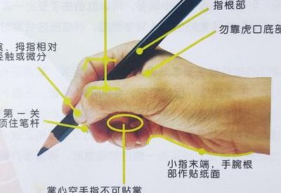 握笔的正确方法图片（写字握笔的正确方法图片）