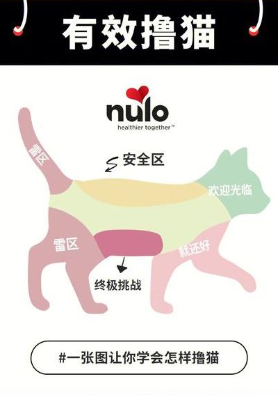 吸猫场所是什么意思（吸猫场所是啥）