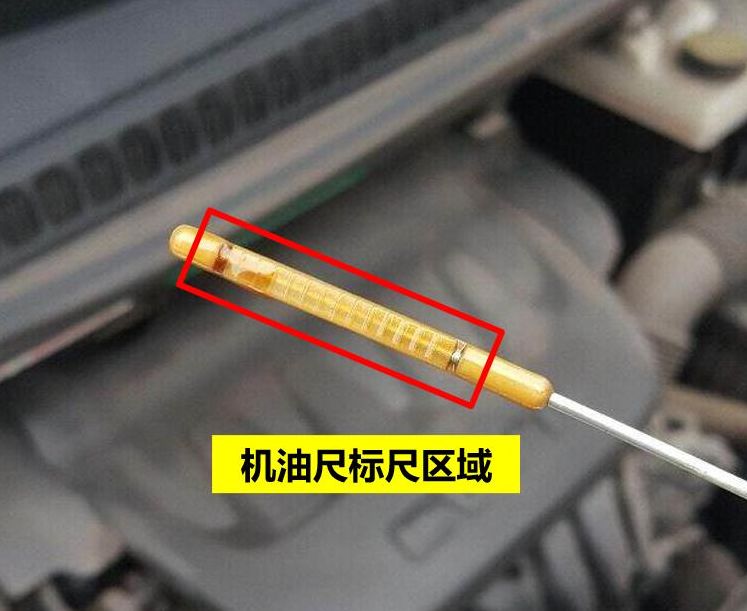 机油尺的测量标准图片（机油尺一般在什么位置图片）