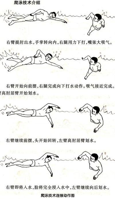 自学游泳步骤（自学游泳步骤图解）