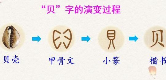 贝的部首是什么（甲的部首是什么）