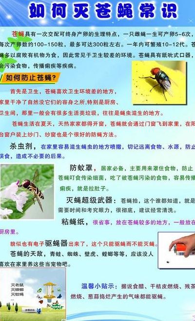 消灭苍蝇最有效的方法（消灭苍蝇最有效的方法是）