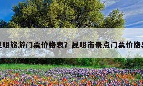 昆明有哪些好玩的地方（昆明有哪些好玩的地方票还便宜）