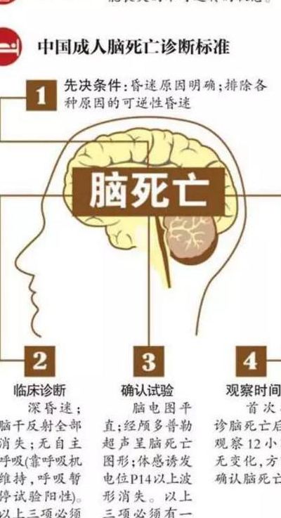脑死亡名词解释（脑死亡名词解释医学）