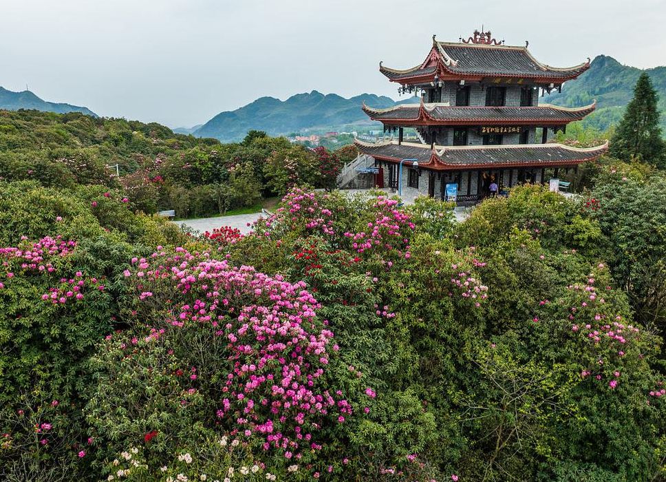贵州风景区（贵州风景区图片）