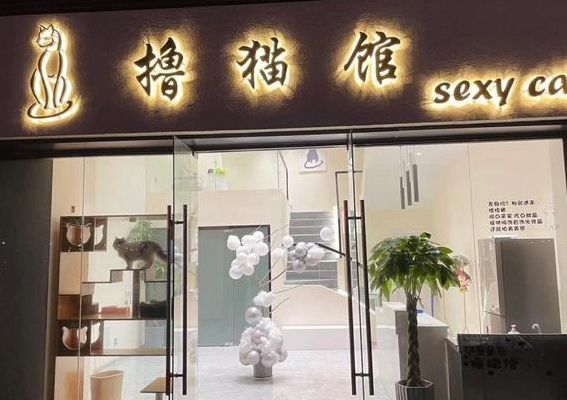 吸猫会所是什么意思（吸猫馆是什么）