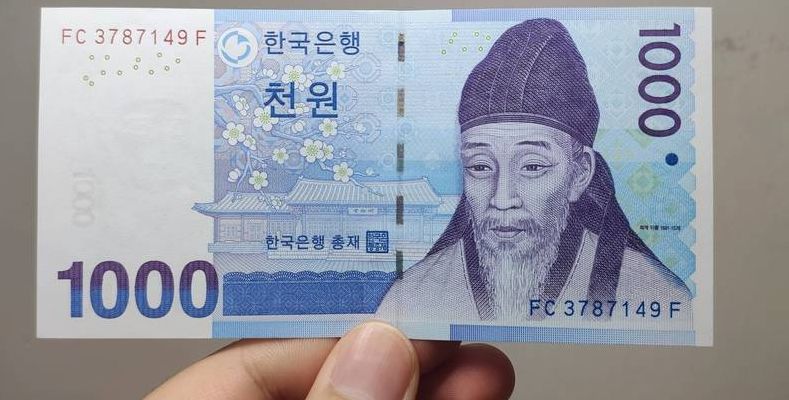 1000韩元（1000韩元能在韩国买什么）