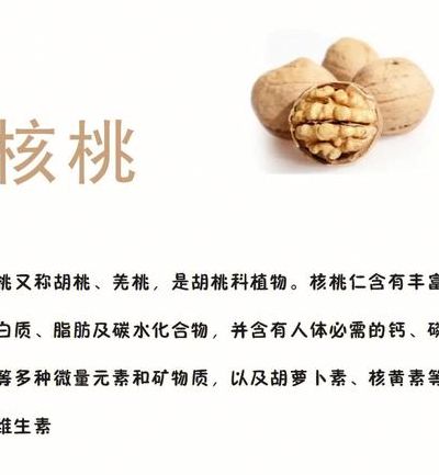 核桃一天吃几个合适（小孩吃核桃一天吃几个合适）