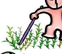 斗蛇成语（斗蛇的成语疯狂猜成语）