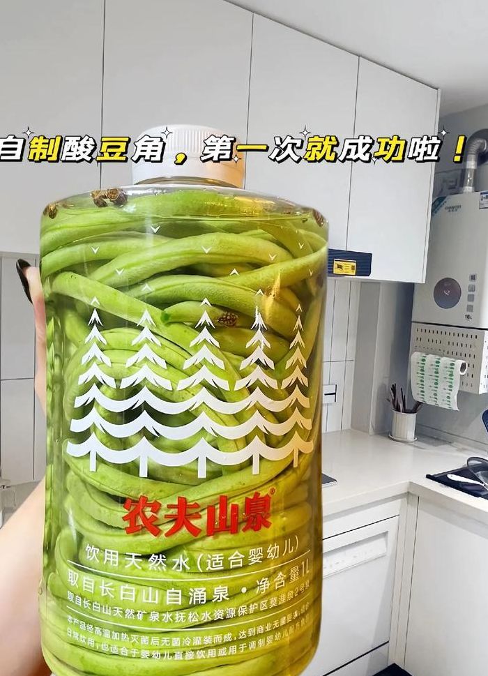 长豆角腌制方法大全（长豆角怎么腌制保存一年不坏）