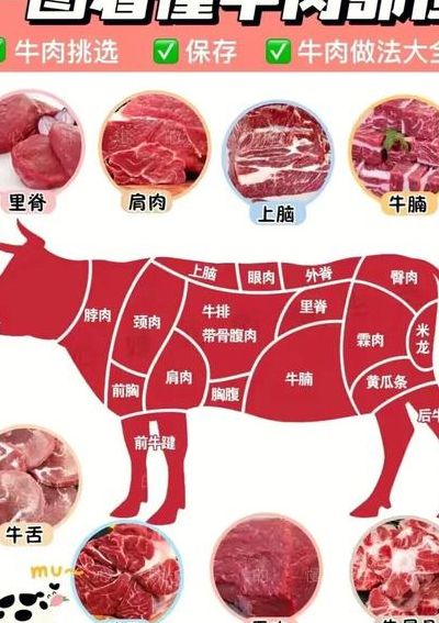 煮大块牛肉的正确方法（煮大块牛肉的正确方法视频教程大全）