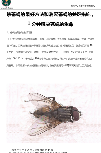 成年的蝶蝇怎么消灭（蝶蝇怎么除根）
