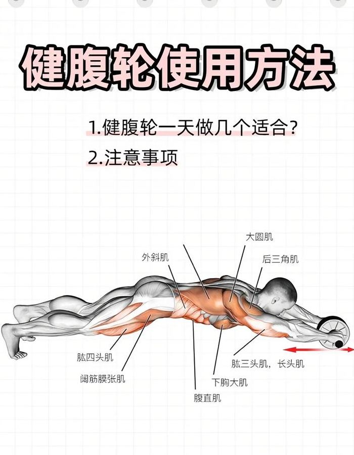 腹肌轮的正确锻炼方式（腹肌轮的正确锻炼方式多长时间）