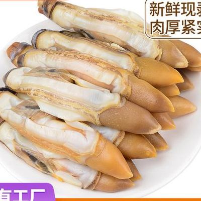 蛏子哪些部位不能吃（蛏子哪些部位不能吃图解视频）