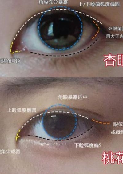 杏眼是什么样的（杏眼是什么样的女人面相）