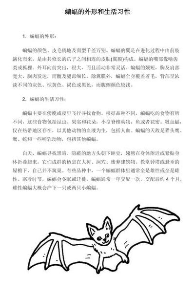 关于蝙蝠的资料（关于蝙蝠的资料五十字数）
