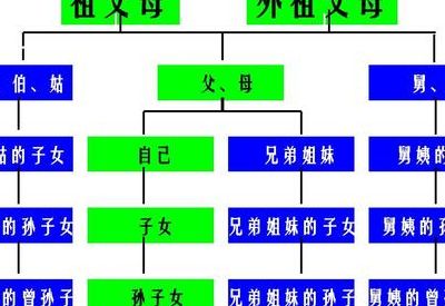 双血统是什么意思（何为双血统）