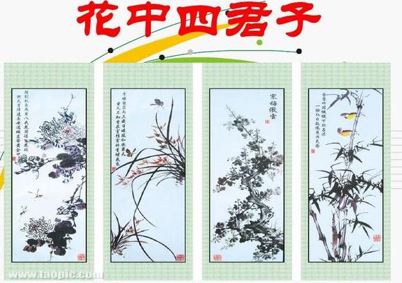 花中四君子都有什么（花中四君子都有什么品质）