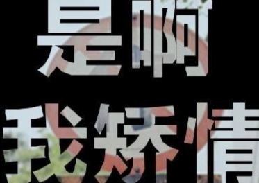 矫情的句子（矫情的句子 文艺男）
