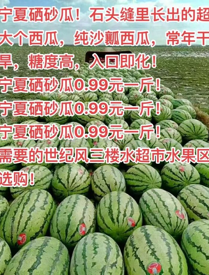 宁夏硒砂瓜（硒砂瓜的简介和特点）