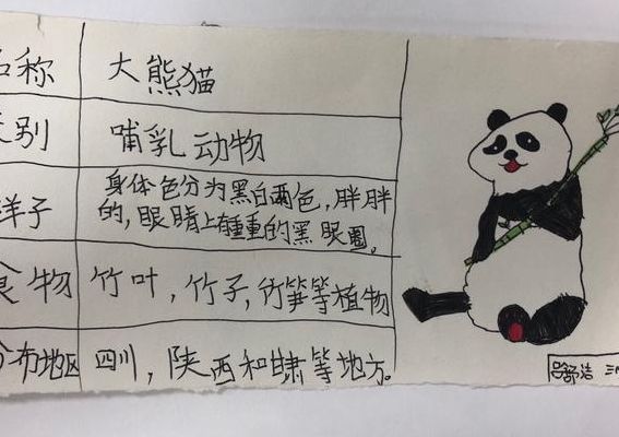 有关大熊猫的资料（有关大熊猫的资料表格图）