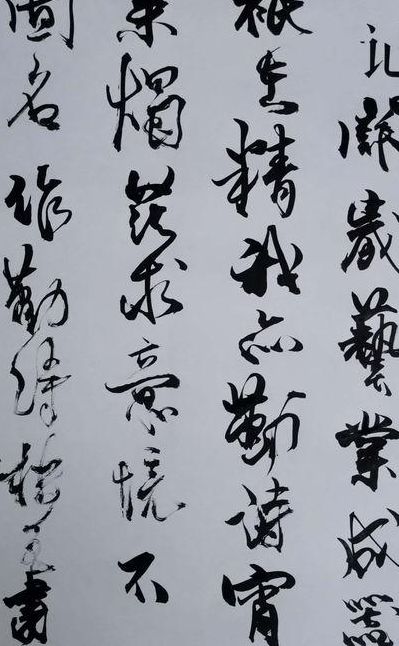 胸中韬略无什么意思（胸中是什么意思）