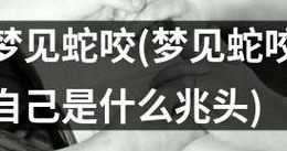 梦见蛇咬人是什么意思（梦见蛇咬人是什么意思女人）