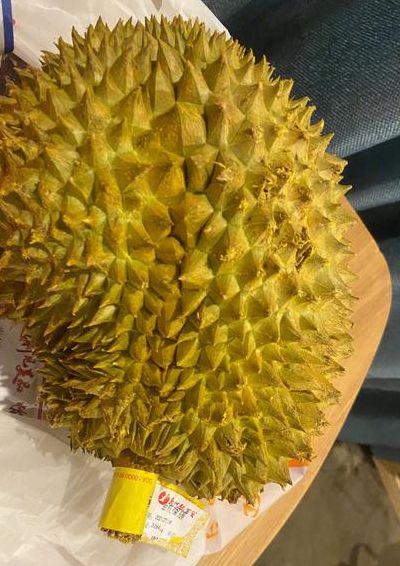 榴莲可以带上火车吗（榴莲可以带上火车吗?2023）