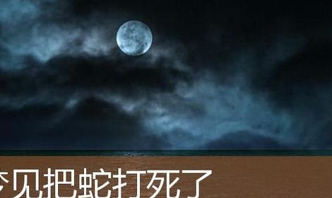 梦见打死蛇（梦见打死蛇又活了是什么意思）