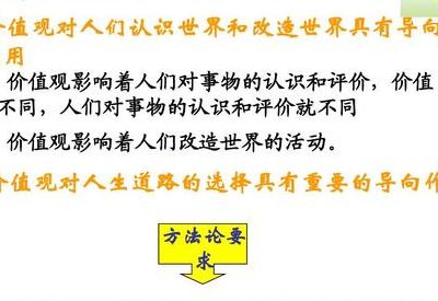 价值观的导向作用（价值观的导向作用高中政治）