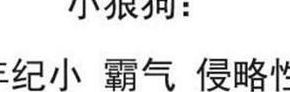 小奶狗小狼狗是什么意思（小奶狗or小狼狗什么意思）