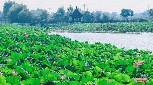 芜湖景点（芜湖景点排名前十）