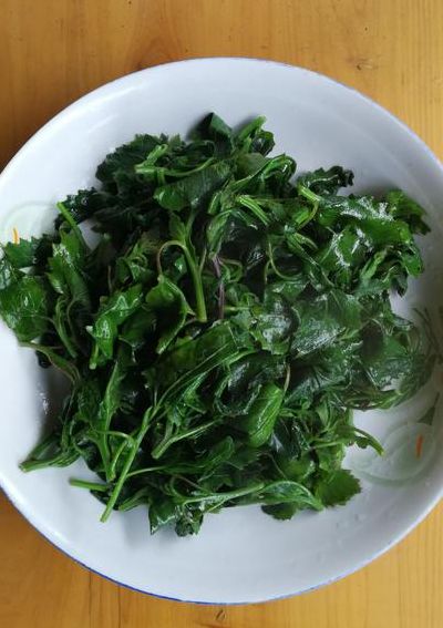 灰菜的家常做法（灰菜的家常做法窍门）