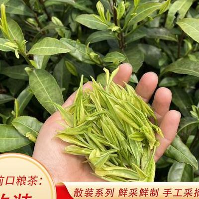 安吉白茶产地在哪个省（安吉白茶产地哪里?）