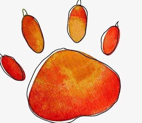 兔子的脚印象什么（兔子的脚印像什么图案）