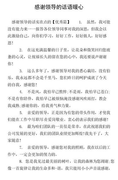 感谢领导的话语朴实点（感谢领导的话语朴实点300字）