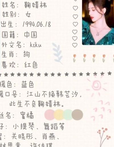 国内明星的简单介绍