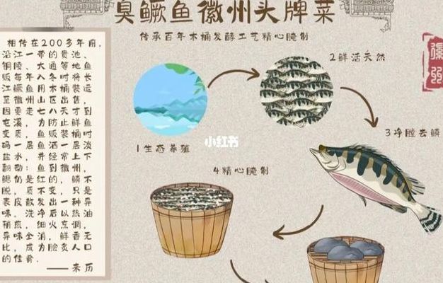 臭鳜鱼的来历（臭鳜鱼的来历典故）