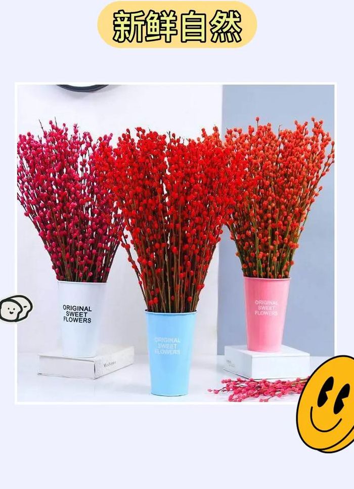 花店买的银柳怎么养（花店买的银柳枝怎么养）